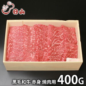 j Ԃ   a Ε Mtg   l` R јa Ԑg ē 500g Y Zbg lߍ킹 Ⓚ ~Mtg oYj j o TԂ C