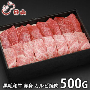 _őSz|CgҌ^ j Ԃ   a Ε Mtg   l` R јa Ԑg Jrē 500g Y Zbg lߍ킹 ~Mtg oYj j