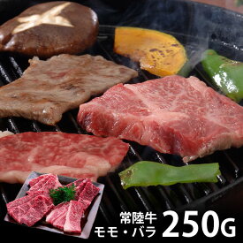 ＼最大全額ポイント還元／ 内祝い お返し 送料無料 肉 和牛 お歳暮 ギフト お取り寄せグルメ 茨城 常陸牛 国産 焼肉 計250g モモ バラ セット 詰め合わせ 冷凍便 冬ギフト 出産内祝い 結婚内祝い 香典返し 快気祝い お祝い返し お礼