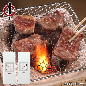 _őSz|CgҌ^ j Ԃ   y Ε Mtg  w e̋^ ۂƈ{ n 960g Zbg lߍ킹 ~Mtg oYj j 