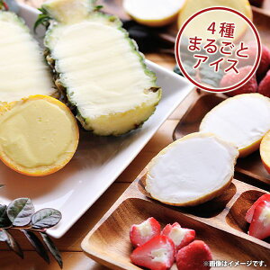 内祝い お返し 送料無料 お取り寄せスイーツ スイーツ お歳暮 ギフト セット 4種まるごと果実 アイス 詰合せ FDF-55 結婚 出産 引出物 快気祝い 内祝 引っ越し 引越し ご挨拶 新築 お祝い プレ