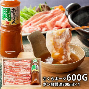 _őSz|CgҌ^ j Ԃ ~Mtg  񂹃O Ε Mtg l |[N Ԃ & || Zbg MCP60-50SP  oY o C Cj 