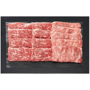 Ε   Mtg   a gV јa  [X Ă v550g₫ Zbg lߍ킹 Y  Hi O Hו Ε 2025 蕨 Ԃ ~Mtg 