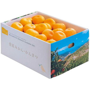 お歳暮 送料無料 果物 ギフト フルーツ みかん 愛媛県西宇和産 温州みかん 5kg セット 詰め合わせ 旬の 国産 果実 食品 グルメ 食べ物 御歳暮 2025 お歳暮ギフト 贈り物 お返し 挨拶 お礼 会社