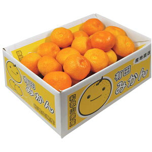 お歳暮 送料無料 果物 お歳暮 ギフト フルーツ みかん 和歌山県産 有田みかん 3kg セット 詰め合わせ 旬の 国産 果実 食品 グルメ 食べ物 御歳暮 2025ギフト 贈り物 お返し 挨拶 お礼 会社 ラン