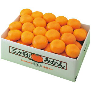 お歳暮 送料無料 果物 ギフト フルーツ みかん 静岡県産 三ヶ日みかん 4kg セット 詰め合わせ 旬の 国産 果実 食品 グルメ 食べ物 御歳暮 2025 お歳暮ギフト 贈り物 お返し 挨拶 お礼 会社 ラン