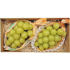 Ε  ʕ Ε Mtg t[c Ԃǂ uhE  쌧Y VC}XJbg 2[ Zbg lߍ킹 炲 { Y ʎ Hi O Hו Ε 2025Mtg 蕨 