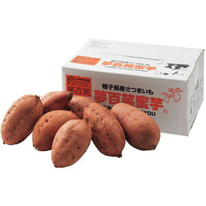 Ε   Ε Mtg ܂ ܈ Ă [ 2kg Y SΖ Zbg lߍ킹 { Y ۑH Hi O Hו Ε 2025Mtg 蕨 Ԃ 