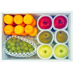 Ε  ʕ Mtg t[c荇킹 ʎ 5 VC}XJbg  ݂ m tX Zbg lߍ킹 { Y Hi O Hו Ε 2025 ΕMtg 