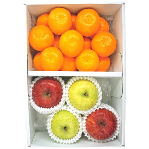 お歳暮 送料無料 果物 ギフト フルーツ盛り合わせ 有田みかん サンふじりんご 王林 りんご 林檎 セット 詰め合わせ 旬の 国産 果実 食品 グルメ 食べ物 御歳暮 2025 お歳暮ギフト 贈り物 お返