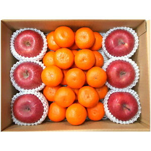 Ε  ʕ Mtg t[c荇킹 ݂ Tӂ  ь Zbg lߍ킹 { Y ʎ Hi O Hו Ε 2025 ΕMtg 蕨 Ԃ A  