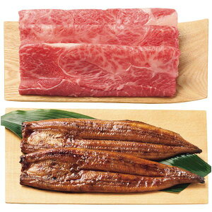 Ε   Mtg   a _˃r[t Ă ₫ & Y Ȃ̊ V EiM Zbg lߍ킹 Y Hi O Hו Ε ~Mtg 2025 