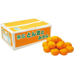 お歳暮 送料無料 果物 ギフト フルーツ みかん 和歌山県産 とん吉 みかん 5kg セット 詰め合わせ 旬の 国産 果実 食品 グルメ 食べ物 御歳暮 2025 お歳暮ギフト 贈り物 お返し 挨拶 お礼 会社 ラ