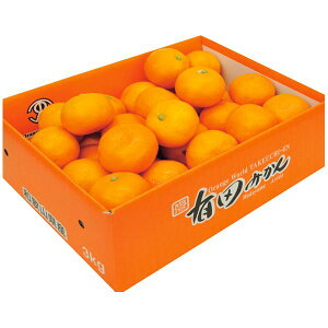 お歳暮 送料無料 果物 ギフト フルーツ みかん 和歌山県 武内園 有田みかん3kg セット 詰め合わせ 旬の 国産 果実 食品 グルメ 食べ物 御歳暮 2025 お歳暮ギフト 贈り物 お返し 挨拶 お礼 会社