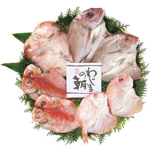 Ε  y CN Mtg  ֓ Â Hה Y Zbg lߍ킹 Ă  CY  ܂ ΐ쉞 Hi O Hו Ε 2025 ΕMtg 蕨 