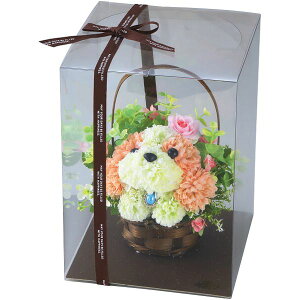 _őSz|CgҌ^ j Ԃ   Ε Mtg A[eBtBVt[ t[ps[ V[Y[ AW  킢  G  CeA ~Mtg 