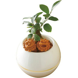 _őSz|CgҌ^ j Ԃ   Ε Mtg ϗtA KW} V[T[ ۔ 5 Zbg lߍ킹 O[  CeA ~Mtg oYj 