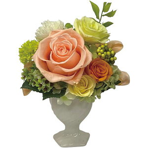 j Ԃ   Ε Mtg vU[uht[ tBl vU[uht[ IW  킢 G CeA ~Mtg oYj j j o