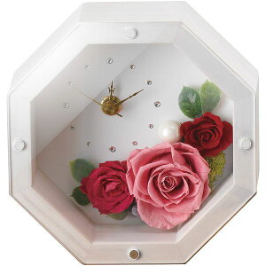 _őSz|CgҌ^ j Ԃ   Ε Mtg vU[uht[ MOLY AeB[NzCg Ԏv  킢 G  CeA ~Mtg oYj 