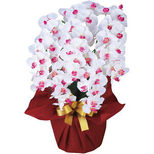 _őSz|CgҌ^ j Ԃ   Ε Mtg  A[gt[ Ӓ  5{ A  G CeA ~Mtg oYj j j 