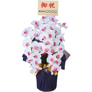 j Ԃ   Ε Mtg  A[gt[ Ӓ  3{ Dt  G CeA ~Mtg oYj j j oYj TԂ j