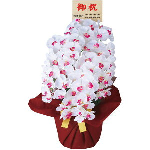 _őSz|CgҌ^ j Ԃ   Ε Mtg  A[gt[ Ӓ  5{ Dt  G CeA ~Mtg oYj j j 