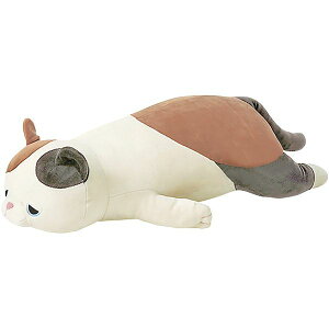 _őSz|CgҌ^ Q  s[ ܂ v~A˂ނ˂ރAj}Y M 䂸 L ~P  킢  j̎q ̎q  Ԃ v[g a 蕨 j 