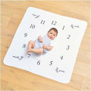 j Ԃ  xr[pi Mtg xr[  GufCAjo[T[ I[KjbNRbg uPbg Ԃ Be Ԃ ǂ oYj j j