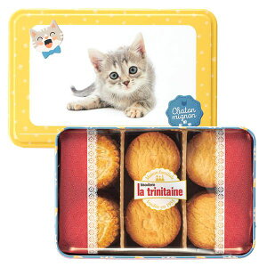 _őSz|CgҌ^ j Ԃ XC[c Ε Mtg َq mَq Ăَq  gje[k rXPbg NbL[ L Zbg lߍ킹 Hi 킢  ~Mtg 