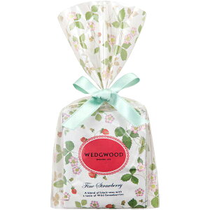 EFbWEbh g v`Mtg Ch Xgx[ A\[geB[obO Zbg lߍ킹 Hi hN lC  킢  Ԃ yY ei z ii ސE z