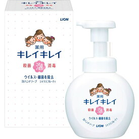 ライオン ハンドソープ ギフト キレイキレイ 薬用 泡ハンドソープ 250ml 本体 液体石けん 殺菌 消毒 衛生日用品 粗品 景品 コンペ 販促品 内祝い お返し 出産内祝い 結婚内祝い 結婚祝い 出産祝い 香典返し 快気祝い お祝い返し 引越し 挨拶 お礼 プレゼント