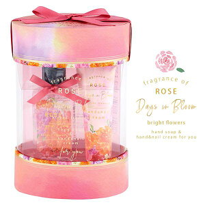 lC nhPA Mtg fCYCu[ bright flowers [Y v`Mtg v[g 킢  v`v FB 蕨 122-18-001 ŷEsz (y) (izk)