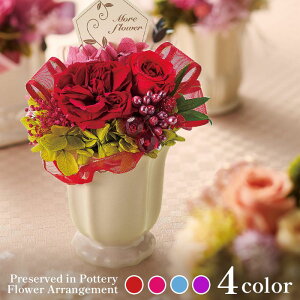  vU[uht[ vU  Mtg KN AW AWg t[A bh sN u[ p[v CeA a j oYj j z w 