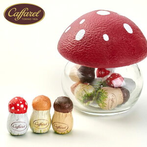 yKiz Caffarel Jt@ `R `R[g v`Mtg XC[c َq mَq ̂|bg  9 Zbg lߍ킹   킢  a v[g 01420 y