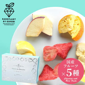 内祝い お返し 送料無料 スイーツ お中元 ギフト お菓子 チョコレート 果実工房 5種のフルーツショコラ 日本の恵 セット 詰め合わせ 食品 出産内祝い 結婚内祝い 結婚祝い 出産祝い 引き出物 香典返し 快気祝い お祝い返し 引越し 挨拶 お礼 60141 【包装済 外のし対応】