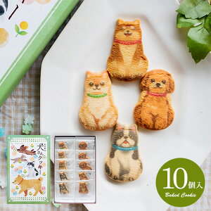 j Ԃ XC[c َq  Ε Mtg v`Mtg Ăَq lߍ킹 񌢂NbL[ 10  Aj} 킢  Hi oYj j 