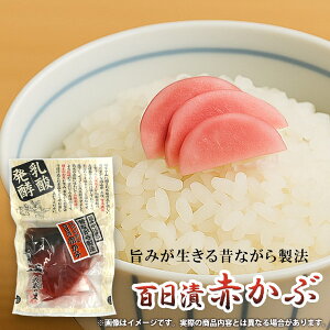 Е Y SАԂ  _y yHi 120g т̂ ͂̂Ƃ y ay ܂ ̍    yY  O ei ii 퉷 Hi Hו ŷ