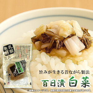 Е Y SД  _y yHi 120g т̂ ͂̂Ƃ y ay ܂ ̍    yY  O ei ii 퉷 Hi Hו ŷE