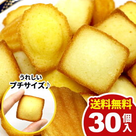 【メール便】 送料無料 スイーツ ギフト お菓子 洋菓子 焼き菓子 プチ フィナンシェ マドレーヌ 2種 計30個 セット 詰め合わせ 個包装 訳あり 大容量 1000円 ポイント消化 お徳用 ひとくちサイズ おやつ デザート パーティー 粗品 食品 食べ物 【のし・包装不可】 (あす楽)