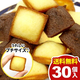 【メール便】 送料無料 スイーツ ギフト お菓子 洋菓子 焼き菓子 プチ フィナンシェ 2種 計30個 セット 詰め合わせ 個包装 訳あり 大容量 1000円 お徳用 ポイント消化 ひとくちサイズ 簡易包装 おやつ デザート お礼 パーティー 食品 食べ物 【のし・包装不可】 (あす楽)