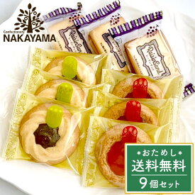 【メール便】 送料無料 スイーツ ギフト お菓子 洋菓子 焼き菓子 SWEETS BOX ロシアケーキ ＆ レーズンサンド 9個 セット 詰め合わせ 中山製菓 個包装 アソート おためし お試し 1000円 ポイント消化 訳あり 簡易包装 常温 おやつ デザート 食品 食べ物 【のし・包装不可】