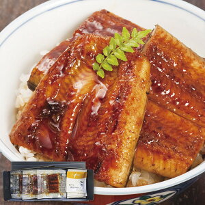 _őSz|CgҌ^ Ε  y  Mtg Y BY Ȃ ؐg 3 Zbg lߍ킹 Vy V EiM ^pbN W  ȒP O Hi Ⓚ Ε 202