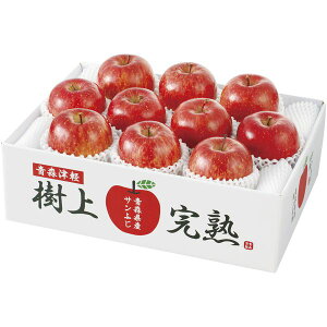 Ε  t[c Mtg XY ㊮n Tӂ  S ь 250g 10 Zbg lߍ킹 ʕ  ʎ { ~  O Hi Ε 2025 ΕMtg 