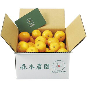 お歳暮 送料無料 フルーツ ギフト 和歌山 森本農園 紀州みかん ミカン 蜜柑 3kg セット 詰め合わせ 果物 くだもの 果実 旬 冬 お取り寄せ グルメ 食品 御歳暮 2025 お歳暮ギフト 贈り物 お返し