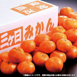 お歳暮 送料無料 フルーツ ギフト 国産 静岡県産 三ケ日みかん みかん Sサイズ 約5kg セット 蜜柑 ミカン 詰め合わせ 果物 くだもの 果実 お取り寄せ グルメ 食品 御歳暮 2025 お歳暮ギフト 贈り