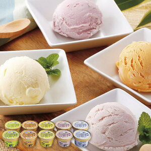 お歳暮 送料無料 アイスクリーム ギフト 北海道アイスクリーム 5種 10個 セット 詰め合わせ お菓子 乳蔵 牛乳 バニラ メロン ハスカップ お菓子 グルメ 食品 冷凍 御歳暮 2025 お歳暮ギフト 贈