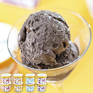 Ε  ACXN[ Mtg v~AACXN[ 8 Zbg lߍ킹 K[ xM[ `R[g `RACX َq XC[c O Hi Ⓚ Ε 2025 Ε