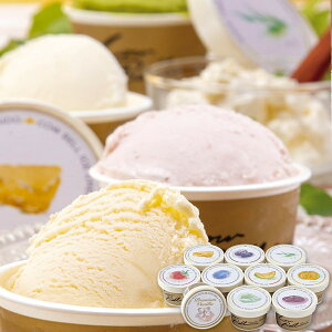 お歳暮 送料無料 アイスクリーム ギフト 北海道アイスクリーム 10個 セット 詰め合わせ FROM大樹 バニラ メロン ハスカップ アイス スイーツ お菓子 お取り寄せ グルメ 食品 御歳暮 2025 お歳暮