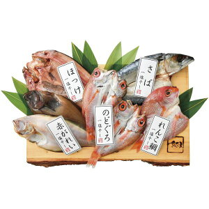 Ε  CN  CY Mtg ̂ǂ花 | Zbg lߍ킹 ق  R ꂢ Y ܂ т̂  O Hi Ⓚ Ε ~Mtg 2025 