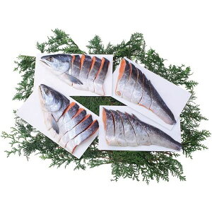 お歳暮 送料無料 海鮮 魚介 海産物 ギフト 北海道産 銀毛 新巻鮭 姿切身 半身 600g 2個 セット 詰め合わせ 鮭 真空パック おつまみ ご飯のお供 お取り寄せ グルメ 食品 冷凍 御歳暮 2025 お歳暮ギ